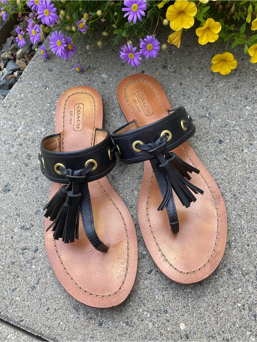 COACH Black Leather Tassel Thong Sandals with Tan Footbed
